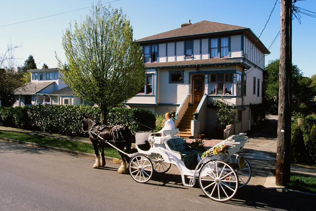 Marketa'S Bed And Breakfast Victoria Exterior photo